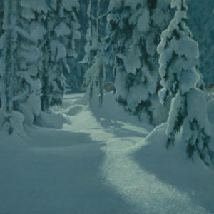 Robert Bateman-deep winter wolves