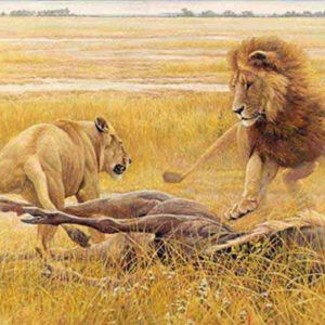 Robert Bateman-dispute over prey