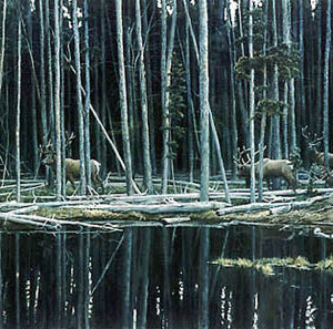 Robert Bateman-elk at yellowstone