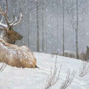 Robert Bateman-evening snowfall american elk