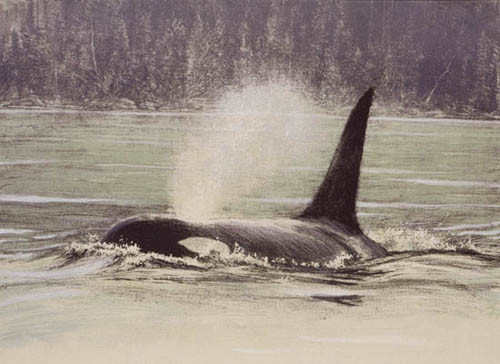Robert Bateman-fluid power orca