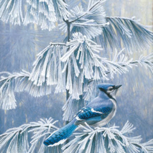 Robert Bateman-frosty morning blue jay