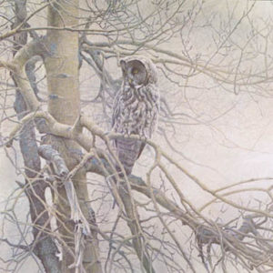 Robert Bateman-ghost of the north great gray owl