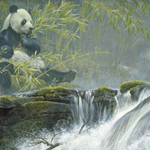 Robert Bateman-giant panda