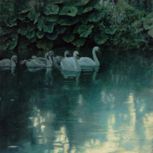 Robert Bateman-great dunford mute swans