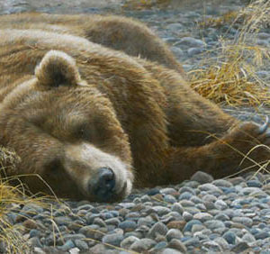 Robert Bateman-grizzly at rest