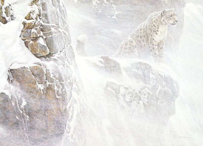 Robert Bateman-high kingdom snow leopard
