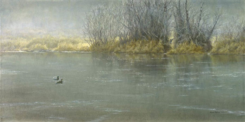 Robert Bateman-high water mallard pair