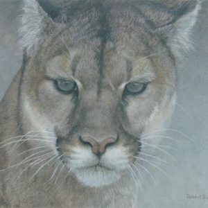 Robert Bateman-intent cougar