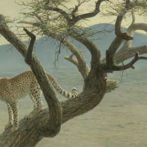 Robert Bateman-lewa cheetah