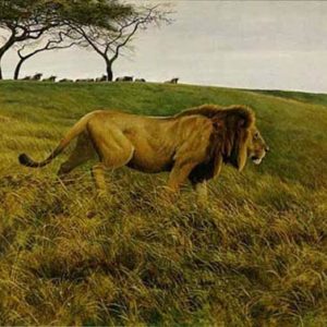 Robert Bateman-lion and wildebeest