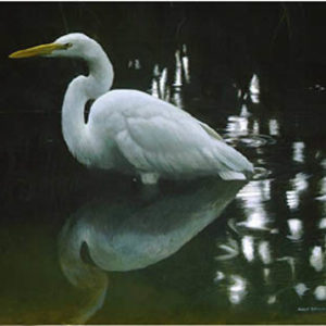 Robert Bateman-mangrove shadow common egret