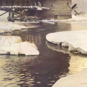 Robert Bateman-millpond canada geese