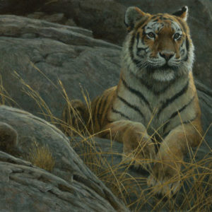 Robert Bateman-monarch of asia