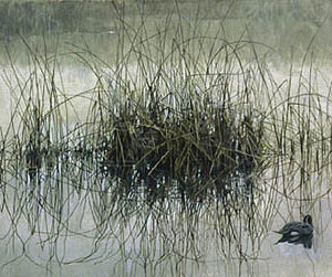 Robert Bateman-morning calm the