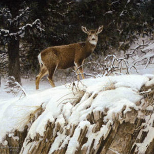 Robert Bateman-mule deer in snow