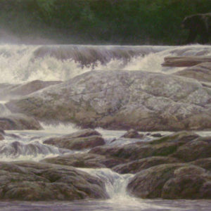 Robert Bateman-navigating the rapids black bear