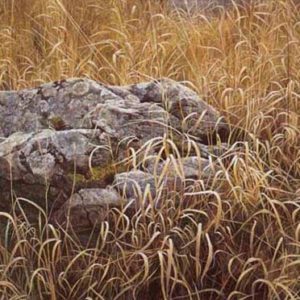 Robert Bateman-near glen burnie