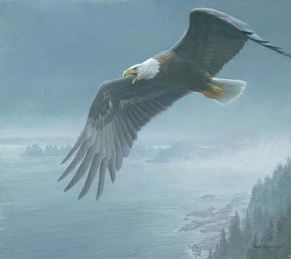 Robert Bateman-on the wing bald eagle