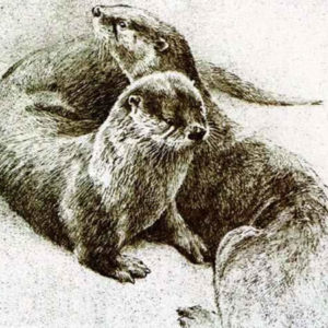 Robert Bateman-otter pair