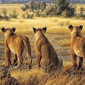Robert Bateman-passing fancy lion cubs
