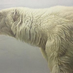 Robert Bateman-polar bear profile