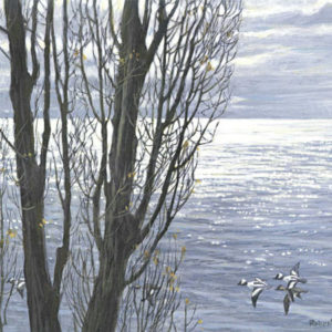 Robert Bateman-poplar trees and buffleheads