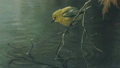 Robert Bateman-prothonotary warbler