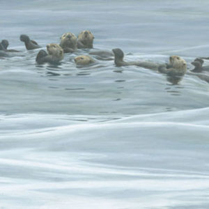 Robert Bateman-raft of otters