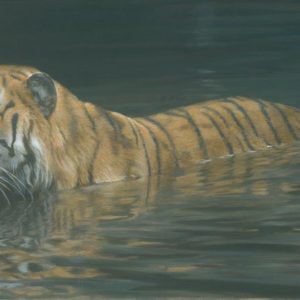 Robert Bateman-river ford tiger