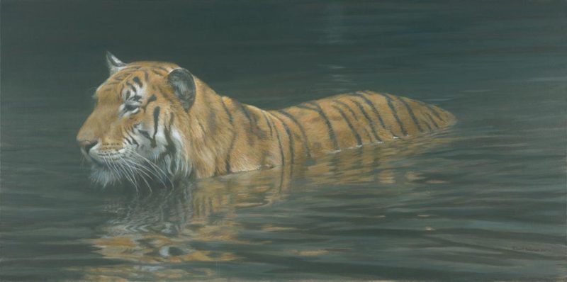 Robert Bateman-river ford tiger