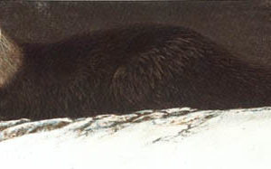 Robert Bateman-river otter