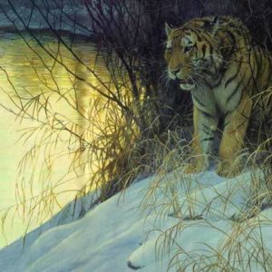 Robert Bateman-siberian tiger