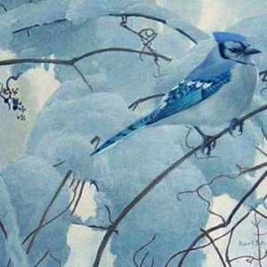 Robert Bateman-snowy morning bluejay