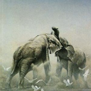 Robert Bateman-sparring elephants