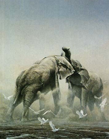 Robert Bateman-sparring elephants