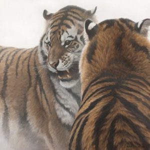 Robert Bateman-sparring siberians