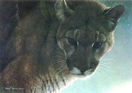 Robert Bateman-starlight cougar