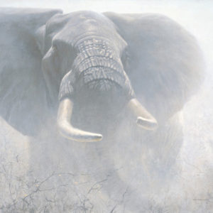 Robert Bateman-tembo