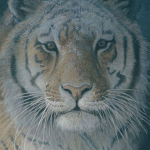 Robert Bateman-tiger at dusk