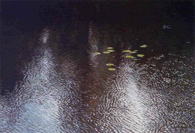 Robert Bateman-tree swallow over pond