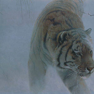 Robert Bateman-twilight siberian tiger