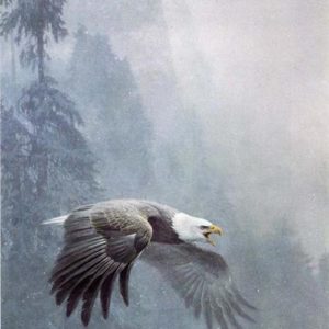 Robert Bateman-vigilance