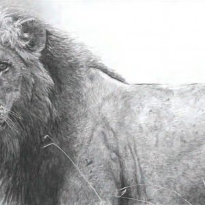 Robert Bateman-warrior