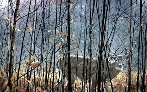 Robert Bateman-whitetailed deer thru the birches