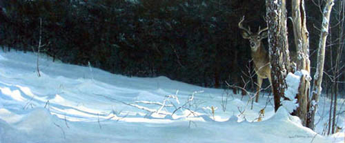 Robert Bateman-whitetail in winter