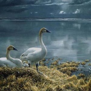 Robert Bateman-wide horizon tundra swans premier