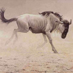 Robert Bateman-wildebeest