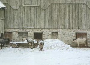 Robert Bateman-winter barnyard