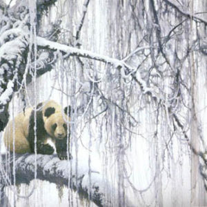 Robert Bateman-winter filigree giant panda